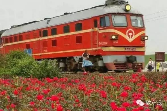 一周趣事片段,一周的趣事