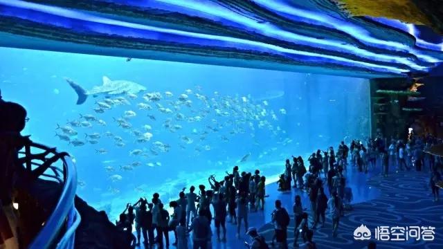 珠海有哪些地方可以玩的,珠海哪里有科技感的地方玩