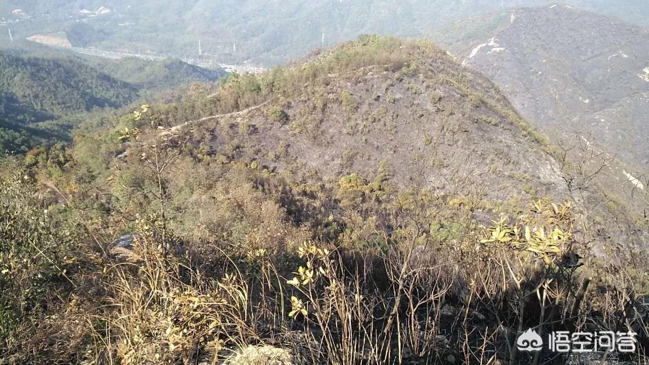 珠海市凤凰山旅游景区游玩攻略,珠海凤鸣谷风景区怎么样