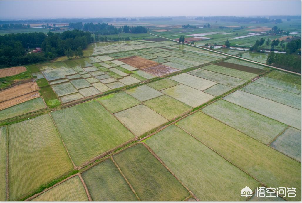 农学生物专业就业前景,职高农学专业就业前景