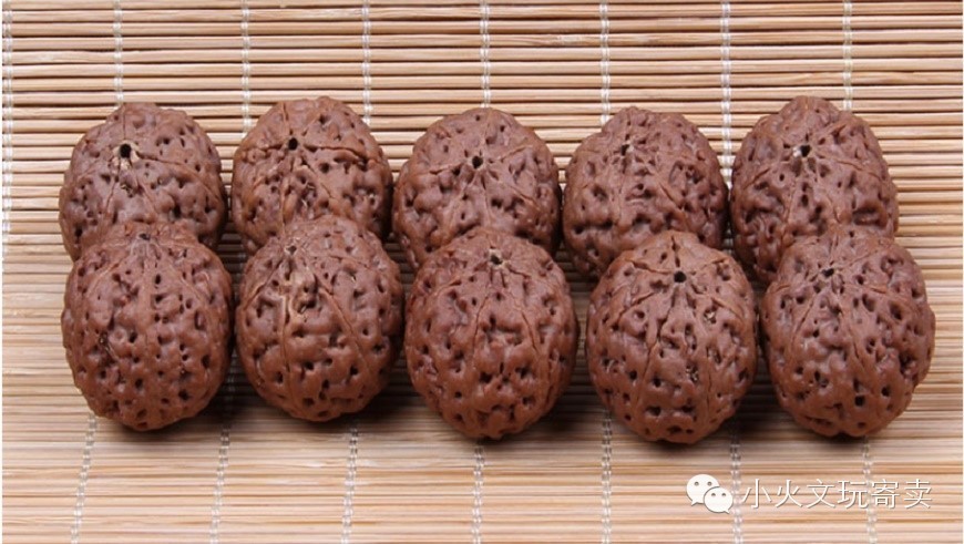 金刚与落地红,落地红对比金刚菩提