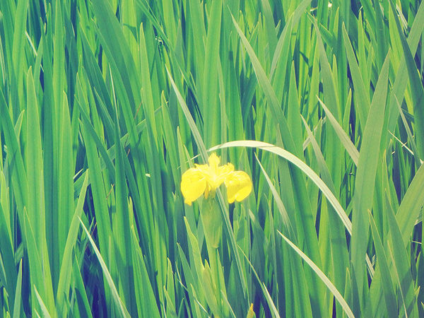 奥林巴斯tg-7运动相机怎样,奥林巴斯tg850拍照