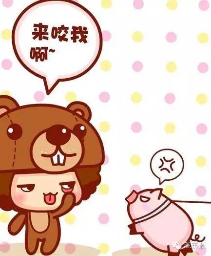 一周趣事片段,一周的趣事