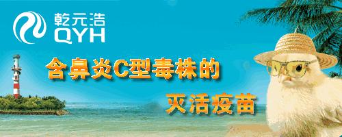 鸡球虫治疗最佳配方,鸡球虫病最佳治疗方法
