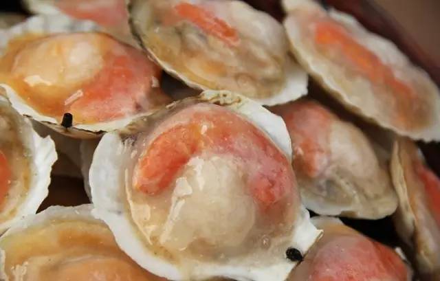 500元坐火车直达三亚！5月15日起本溪人去海南多了新选择！约起走吧！