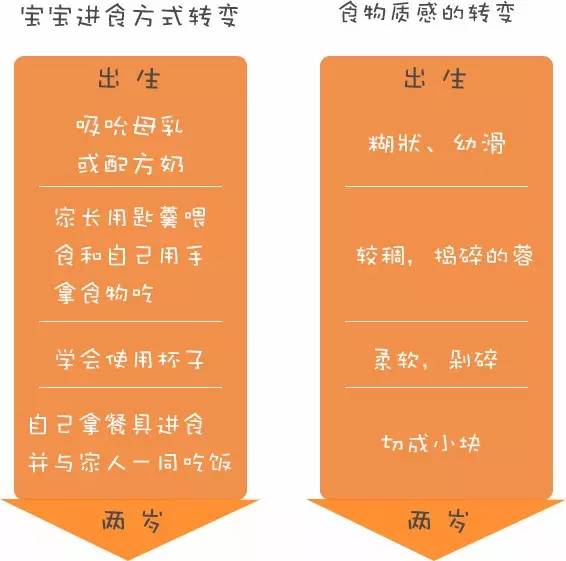 香港食物卫生署,香港七岁儿童早餐食谱