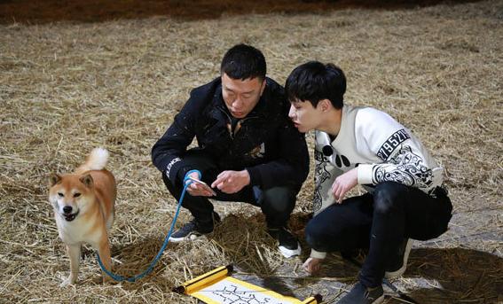 极限挑战评价最高的一季,极限挑战评价