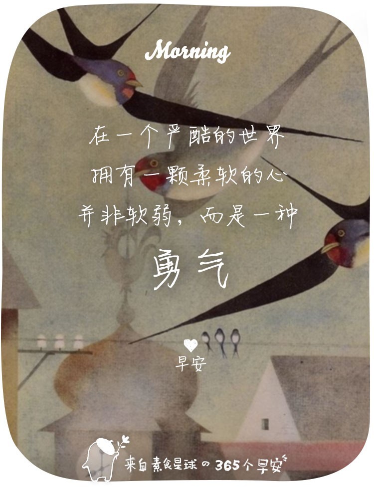 比燕窝更好的植物,比燕窝好的植物