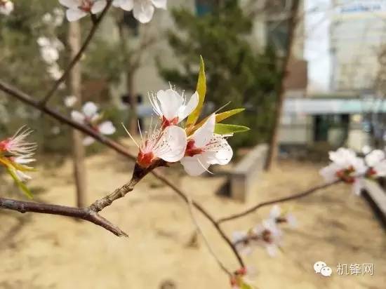 怎一个爽字了得作文600字,怎一个爽字了得是什么意思