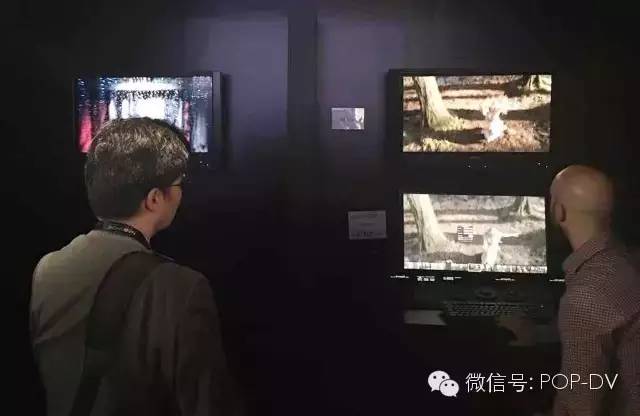 nba2016赛季,nba2016总决赛