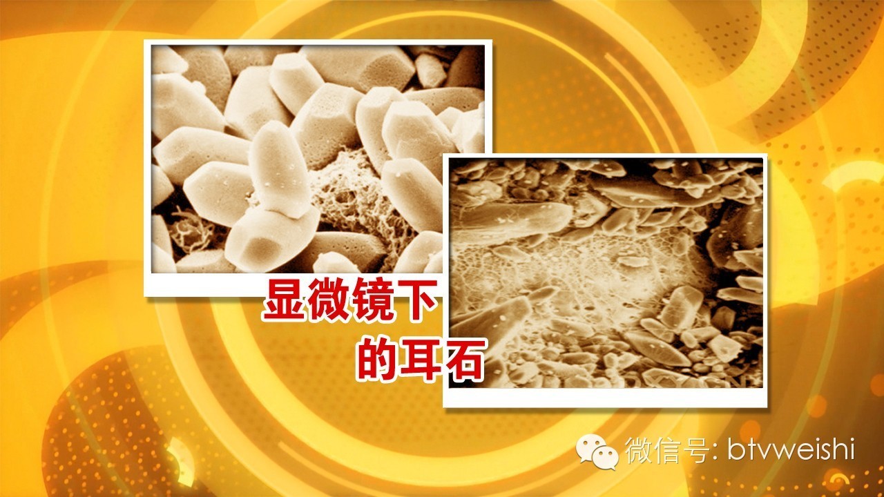 养生堂今日视频直播,养生堂今天的直播回放