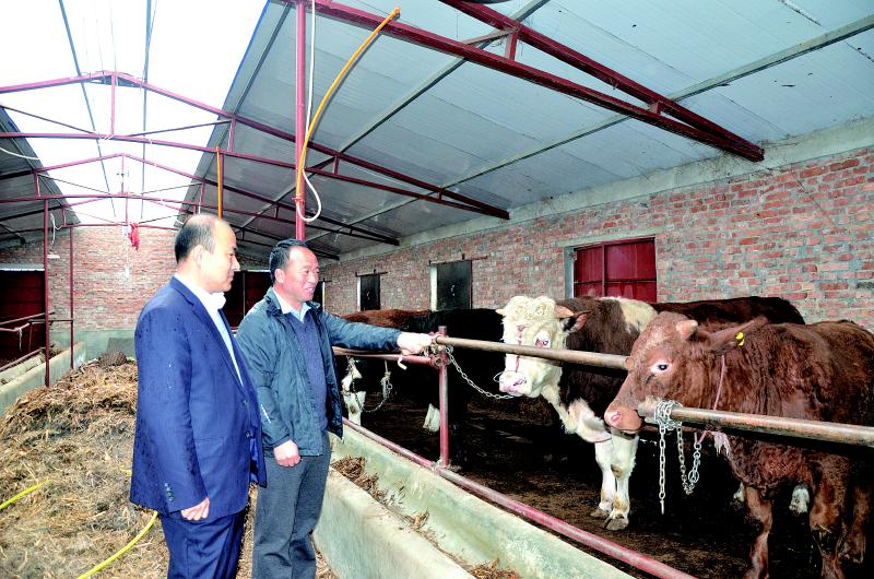 金融活水润泽金乡大地,引金融活水浇灌乡村沃土