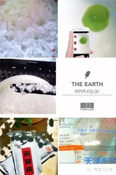 五常大米好坏怎样知道,五常大米哪个好吃评测