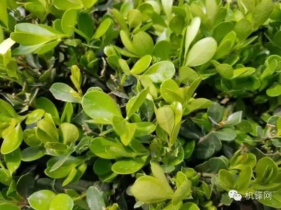 怎一个爽字了得作文600字,怎一个爽字了得是什么意思