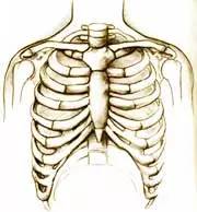 最全体检报告解读，超详细！看过的人都疯转！