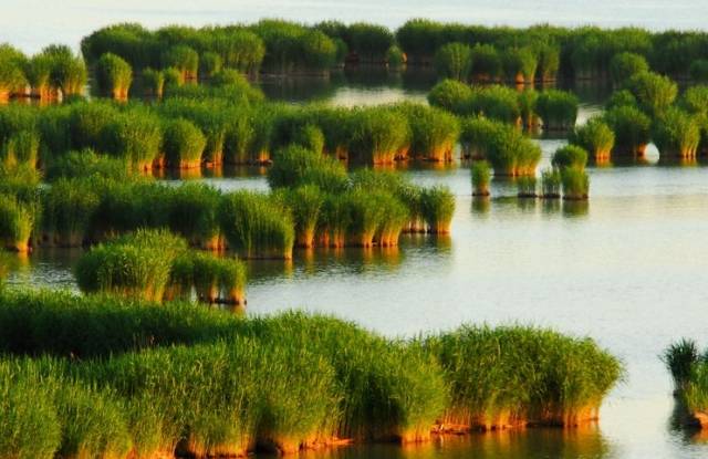 宁夏半价旅游团,宁夏5月1日免门票景区