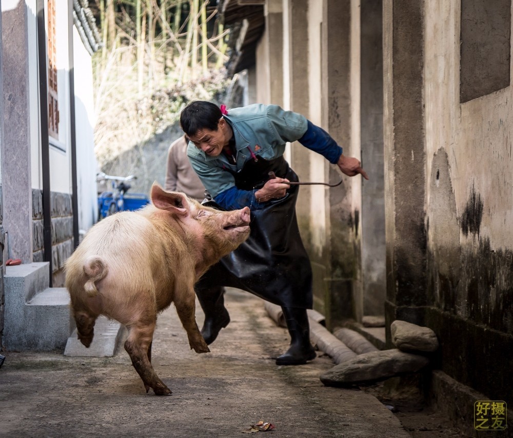 杭州国际摄影展,街头摄影大赛有哪些