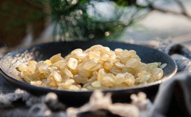 比燕窝更好的植物,比燕窝好的植物