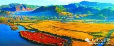 五常大米好坏怎样知道,五常大米哪个好吃评测