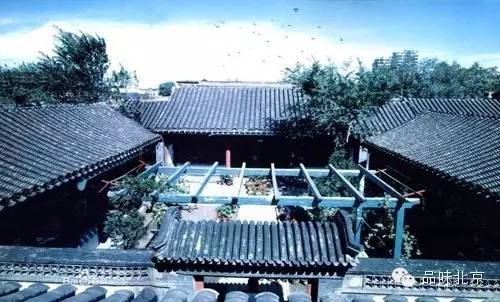 4月19日|北京新鲜事儿：截获最毒物种不到一克毒液能毒死近2万人