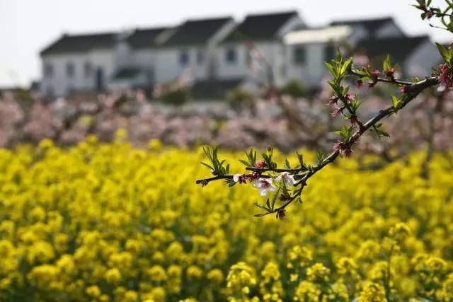 上海2020年学生放假通知,再上六天班就要集体放假