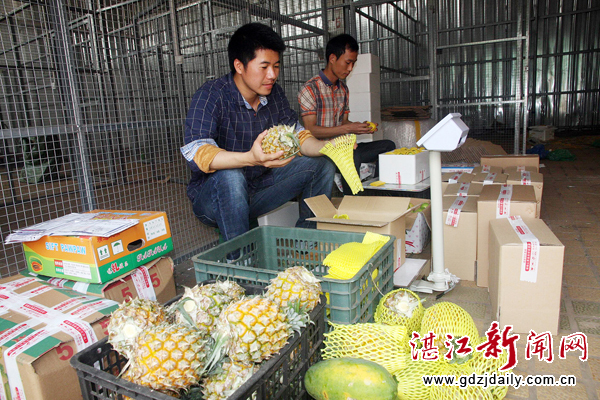 最新互联网创业好项目推荐,互联网创业中心项目