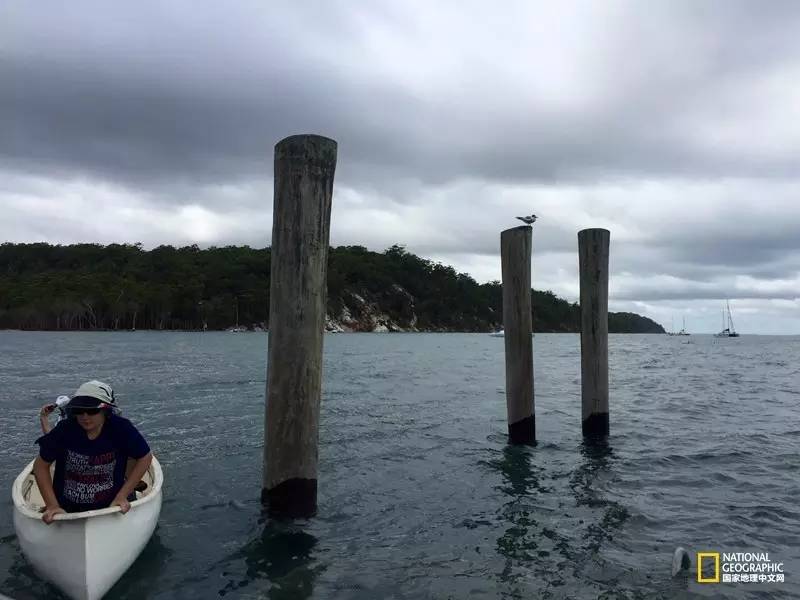 FraserIsland|快来全世界最大的沙岛上撒把野