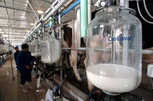 国务院下发的通知是法规吗,国务院下发的通知什么时候生效