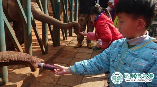 昆明五一免费公园,昆明八天旅游攻略路线推荐