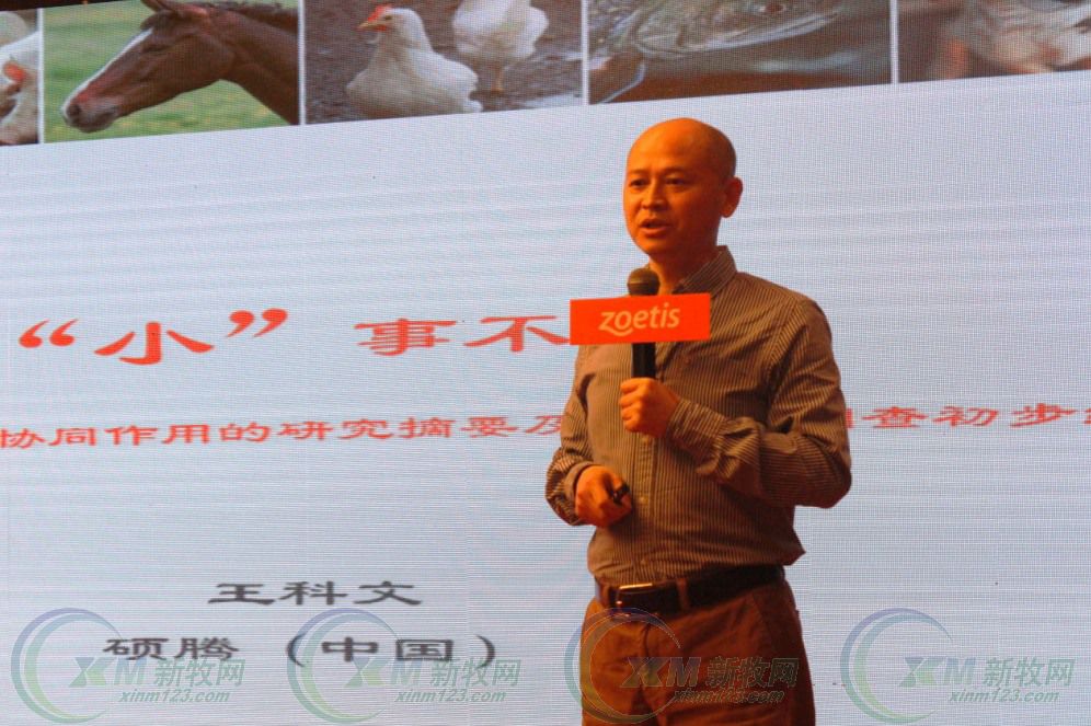 硕腾猪疫苗圆支二联多少钱,硕腾猪伪狂犬疫苗