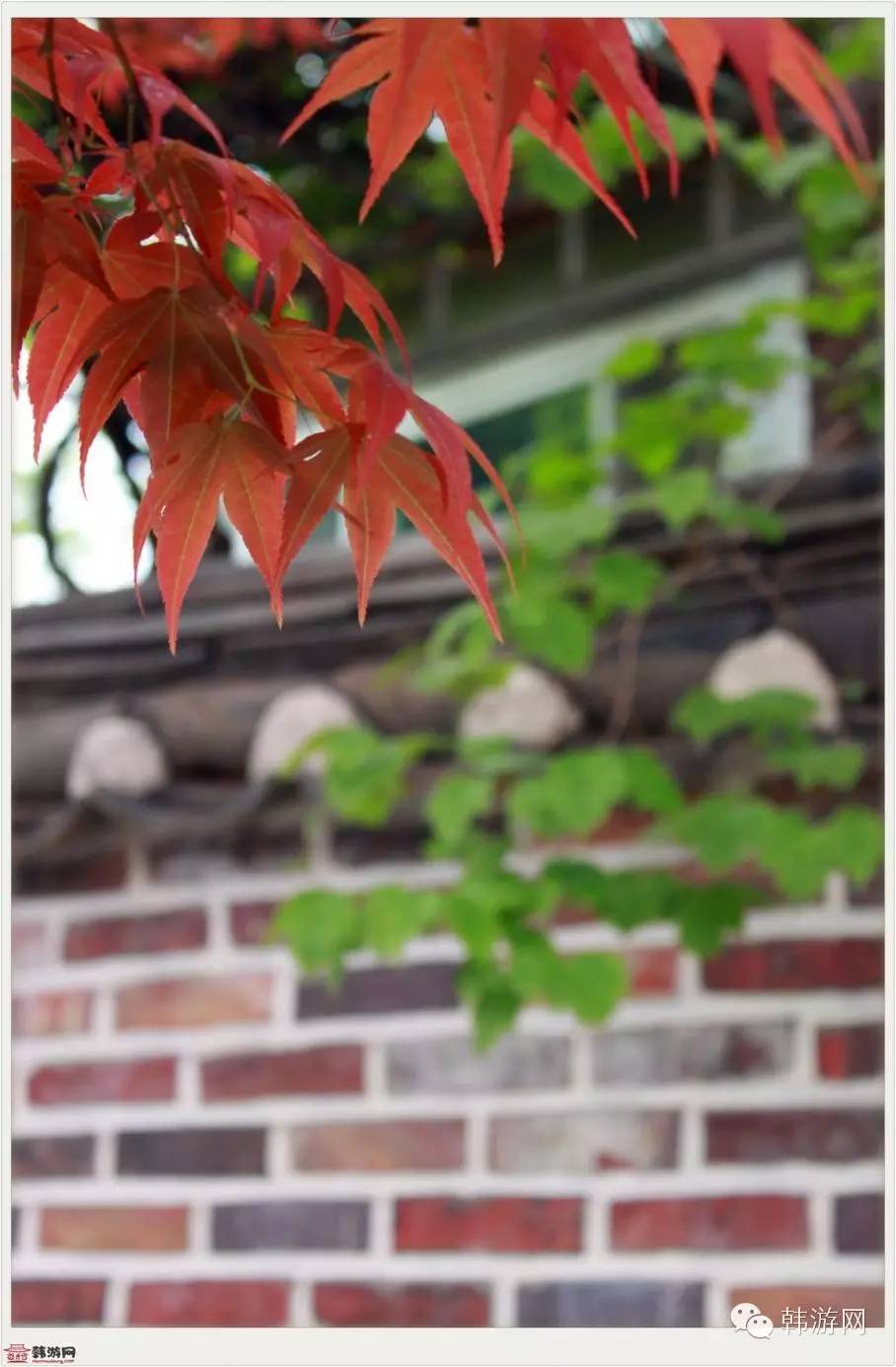 一个人首尔旅行,从首尔到釜山