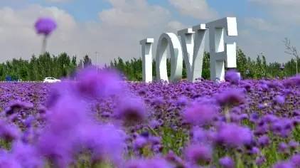 宁夏半价旅游团,宁夏5月1日免门票景区