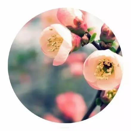 把你的心走过的路，说出来，就是诗啊