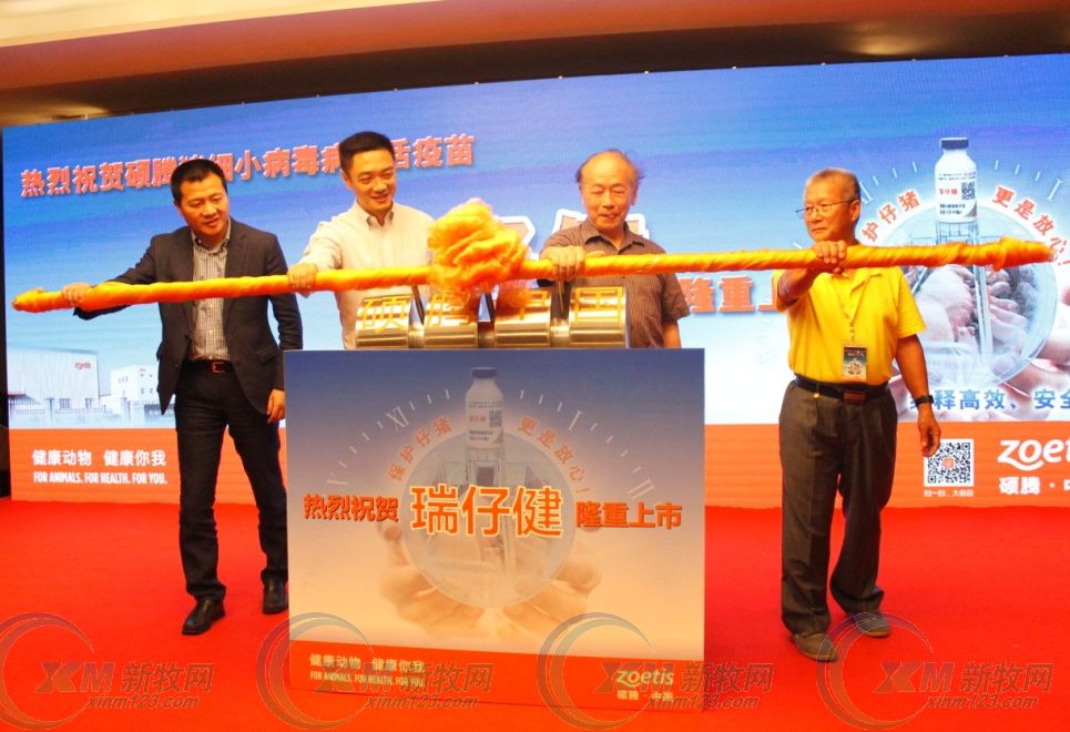 硕腾猪疫苗圆支二联多少钱,硕腾猪伪狂犬疫苗