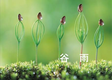 荷兰乳牛极膳营养奶粉提醒:谷雨养生,保一整年健康