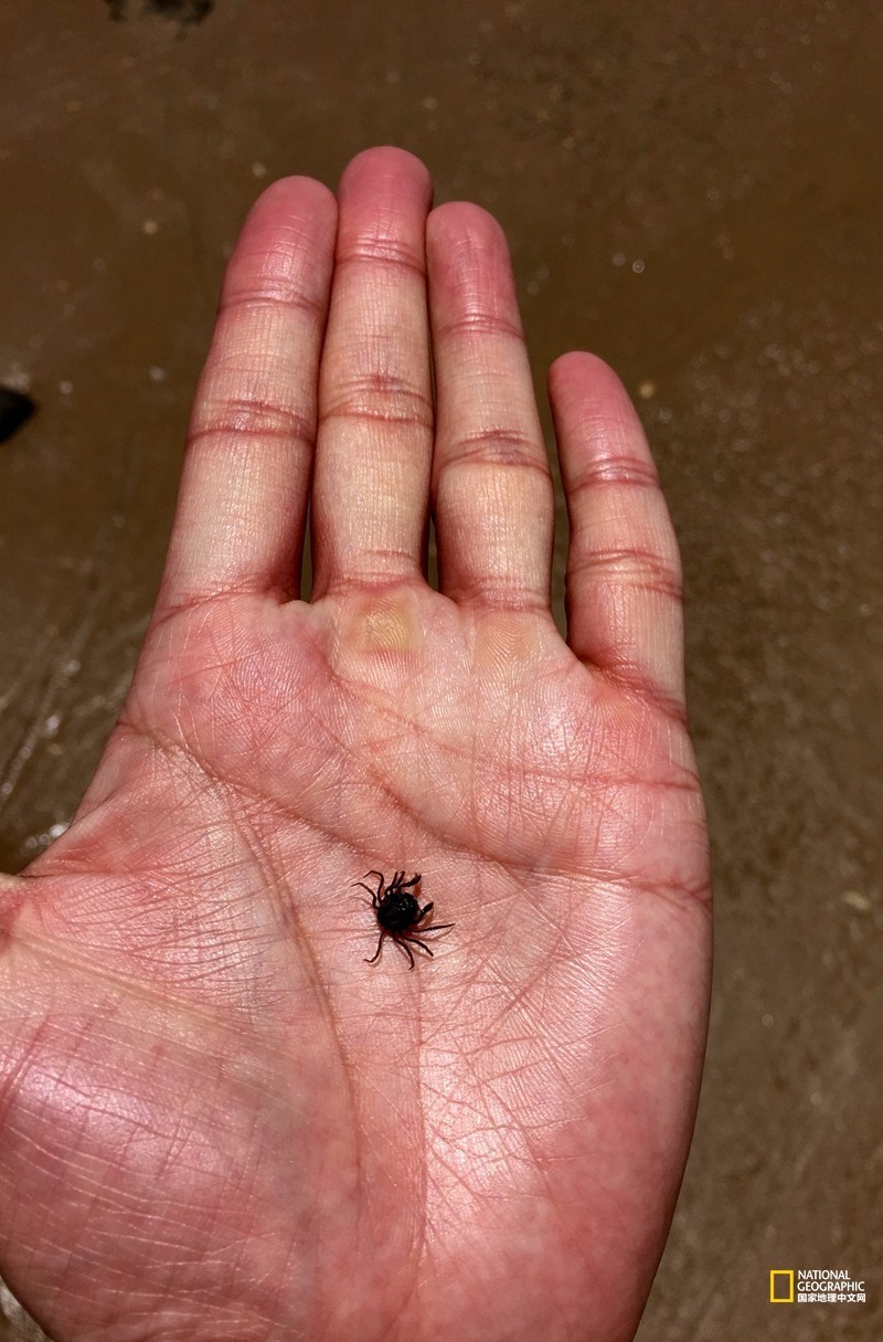 FraserIsland|快来全世界最大的沙岛上撒把野