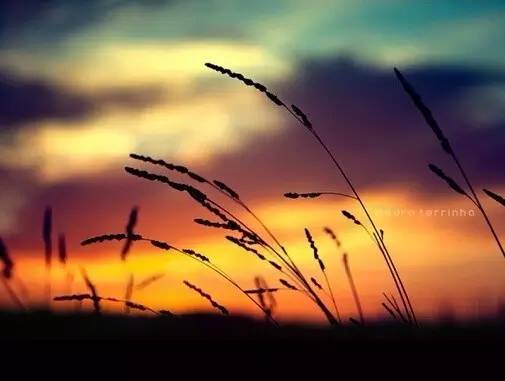 把你的心走过的路，说出来，就是诗啊