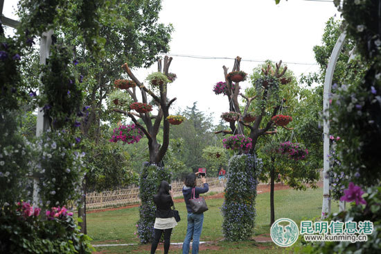 昆明五一免费公园,昆明八天旅游攻略路线推荐