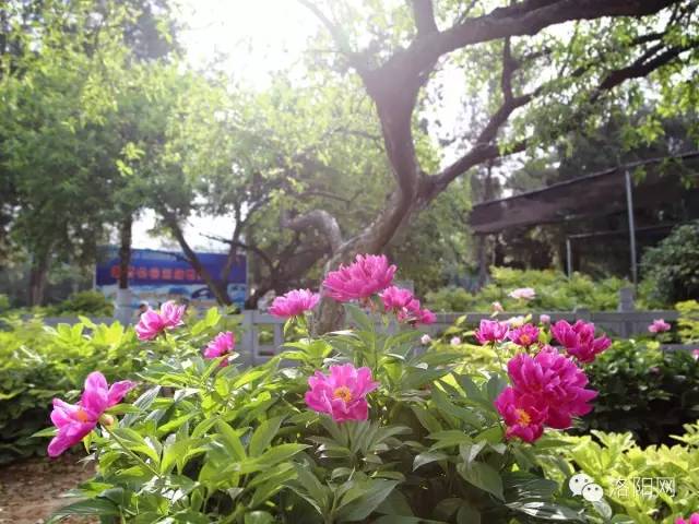 经历着狂风暴雨,经历了狂风暴雨就没法忍受