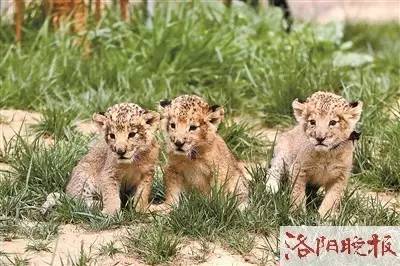经历着狂风暴雨,经历了狂风暴雨就没法忍受