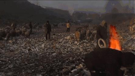 中国禁止洋垃圾入境,中国禁止洋垃圾