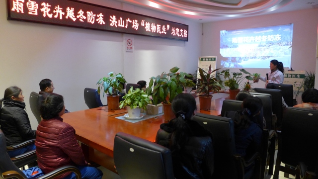 冻坏的花草还能救回来,冻伤的花草是否生长缓慢