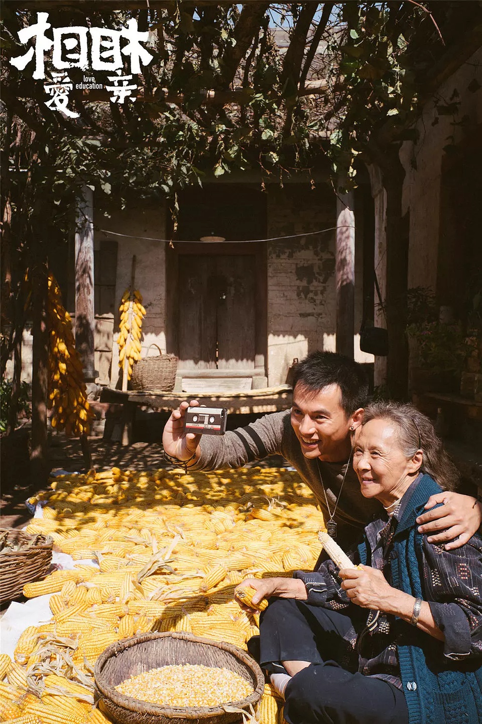 豆瓣日记:2017我的电影史——有关于行走、生活、一丁点儿爱情与艺术