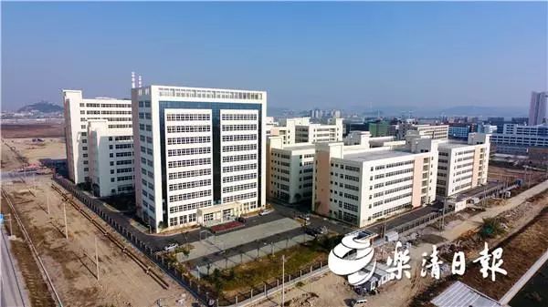 比学赶超|跟着书记、市长一起督考乐清这几个地方的“看家本领”