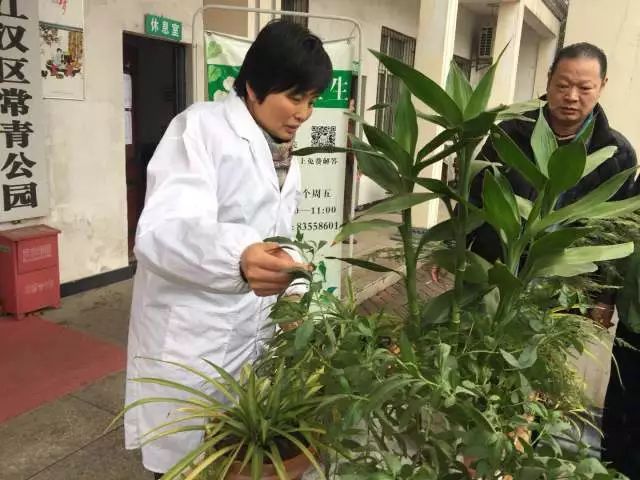 冻坏的花草还能救回来,冻伤的花草是否生长缓慢