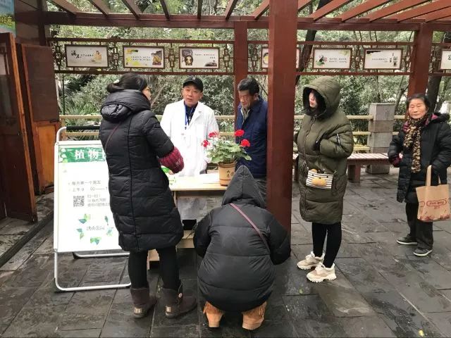 冻坏的花草还能救回来,冻伤的花草是否生长缓慢