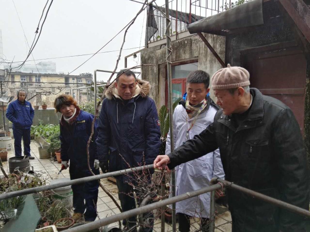 冻坏的花草还能救回来,冻伤的花草是否生长缓慢