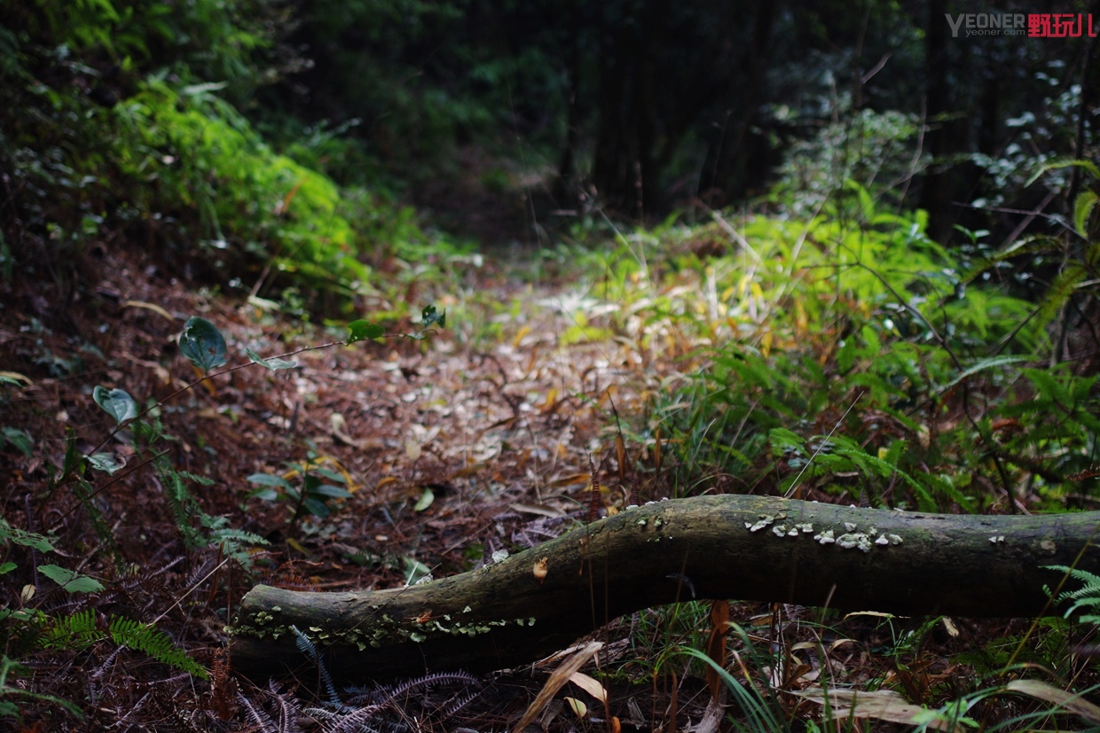 thenorthface营地鞋穿搭,thenorthface越野徒步鞋评测