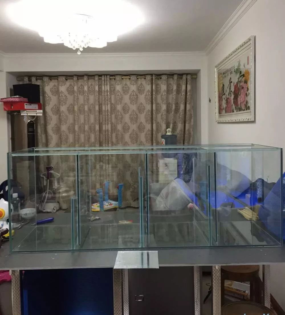 历时4个月,亲手做的缸终于运行!