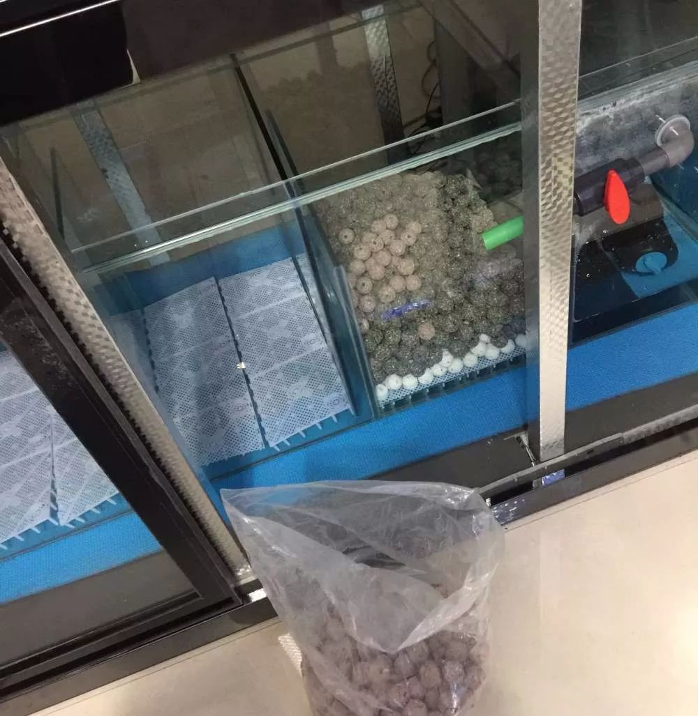 历时4个月,亲手做的缸终于运行!